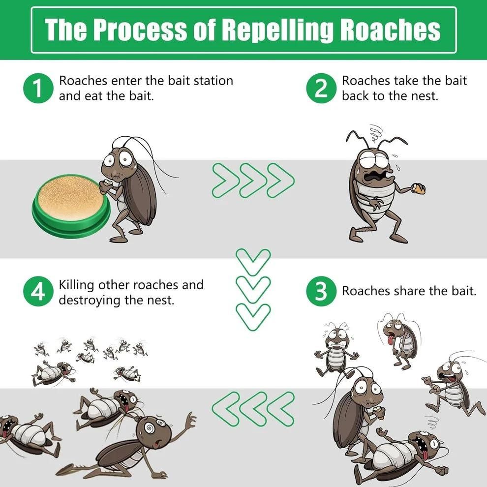 Cockroach Killer Powder Gel Bait – Pack of 2